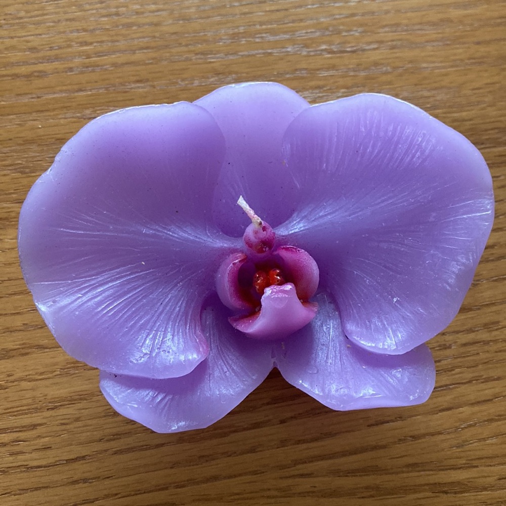 Bundle Orchid shaped candle and Pier 1 Metal photo frame with jeweled flowers